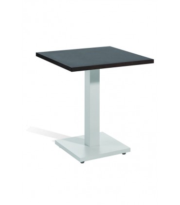 Mesa Sabana Baja (393)