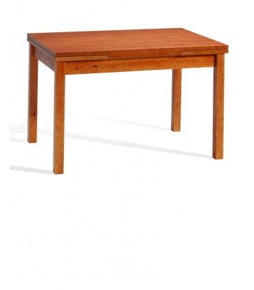 Mesa Extensible (313)