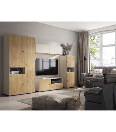 Mueble TV Flat. 1 puerta + 1 cajón. LH