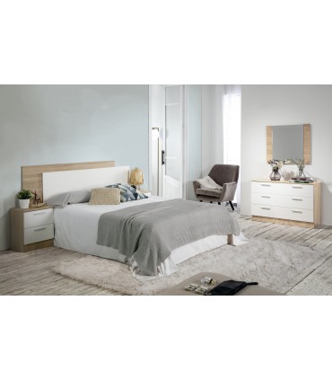 Mesita 2C 40. F BASIC